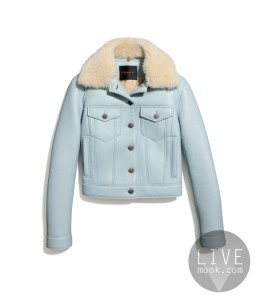 85486 Shearling Coat