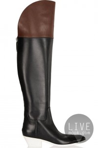 hbz-otk-boots-Alexander-Wang-79314614-lg