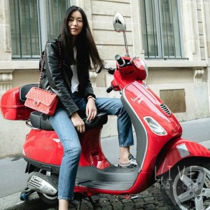 the-history-of-the-it-bag-chanel-liu-wen