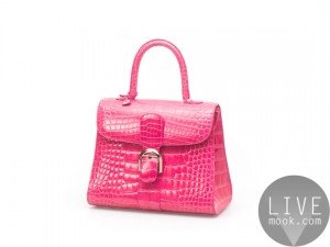 brillant-mm-alligator-rose-indien