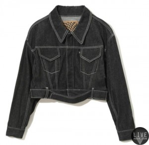 G.V.G.V. Crop Denim Jacket