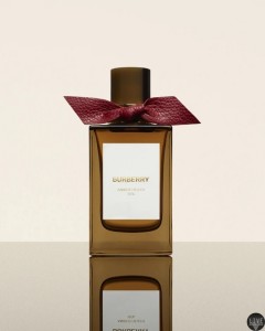 Burberry-Signatures-Amber-Heath.webp